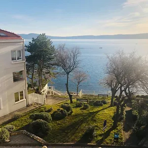 Svetlana Selce